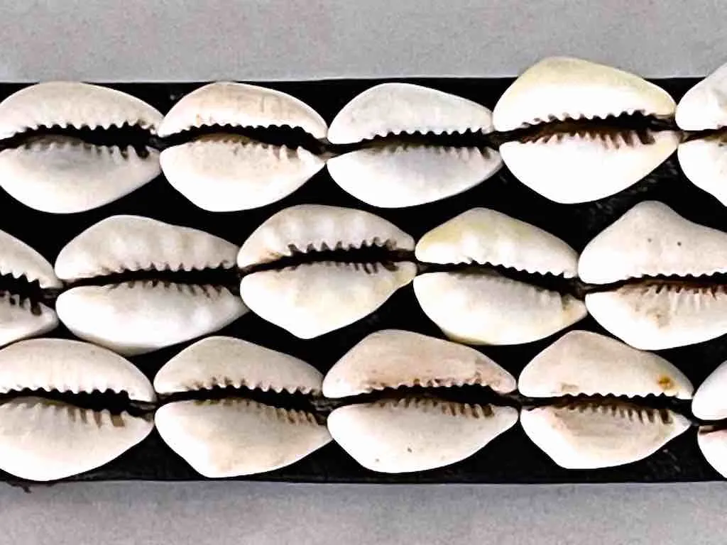 African Cultural Wide Real Cowrie Shell-Black Leather Ball & Loop Closure Belt