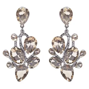 Beautiful Shiny Dazzling Multi Shapes Glass Stones Dangle Earrings E757 Brown