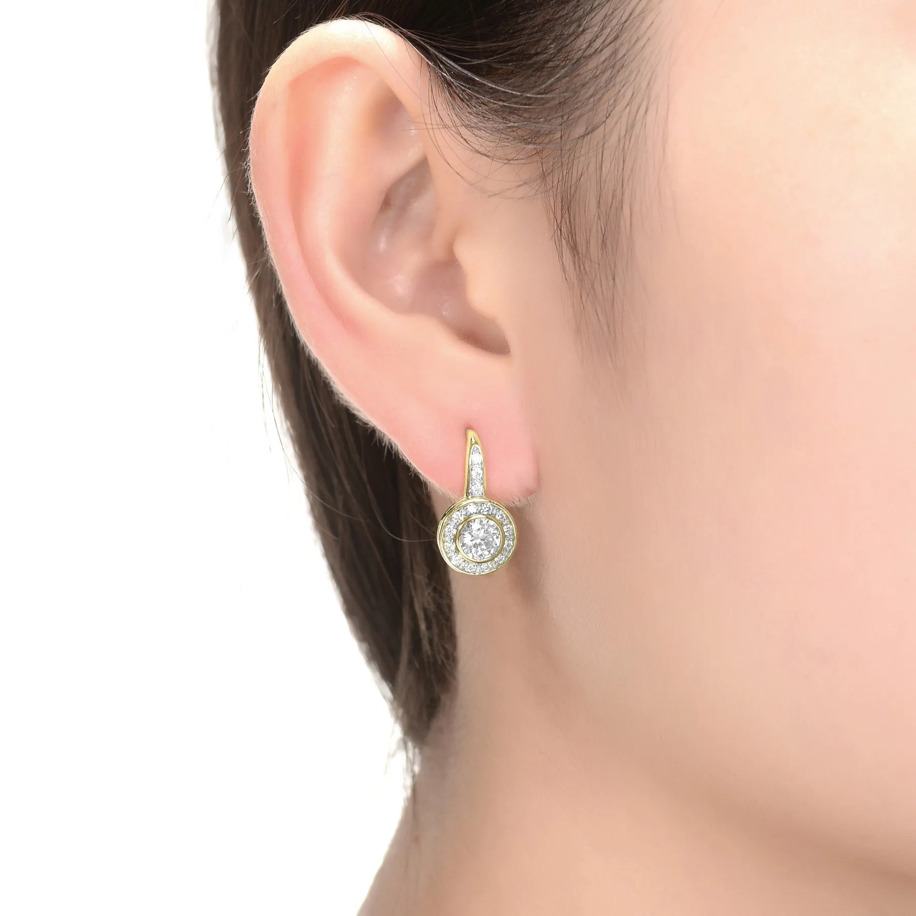 Drop Euro Earrings