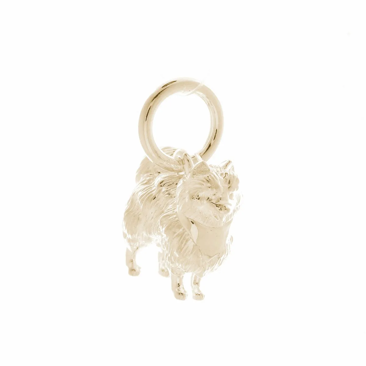 Pomeranian Solid Gold Dog Charm
