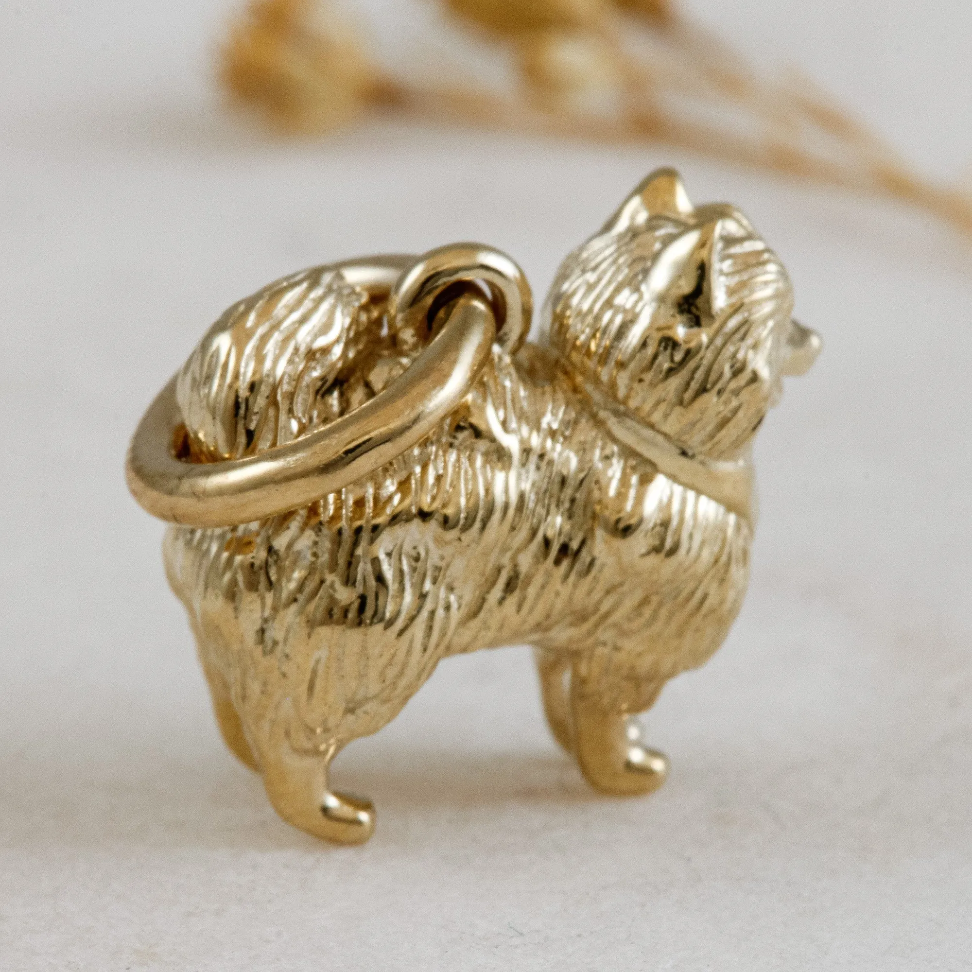 Pomeranian Solid Gold Dog Charm