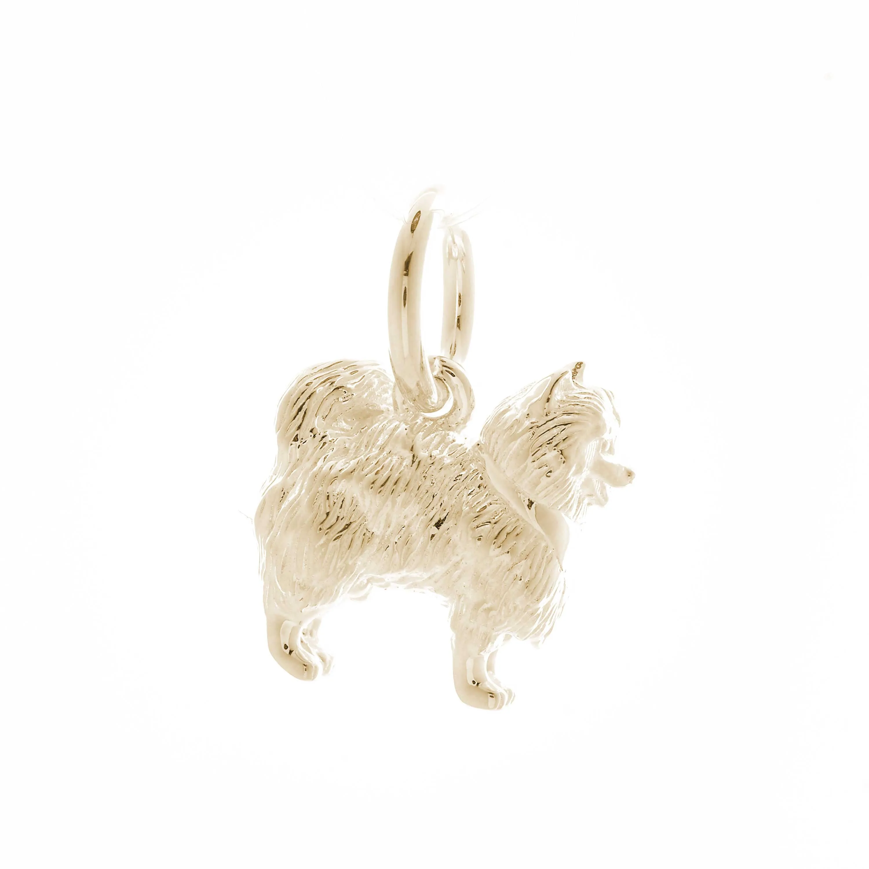 Pomeranian Solid Gold Dog Charm